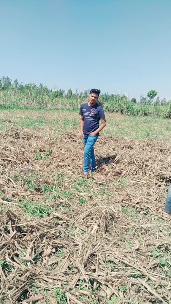 @Shoaib Khan