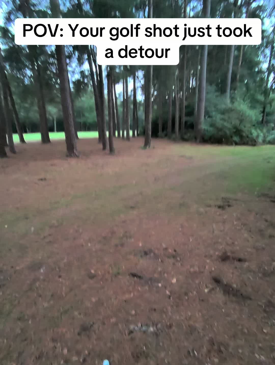 @GolfBite