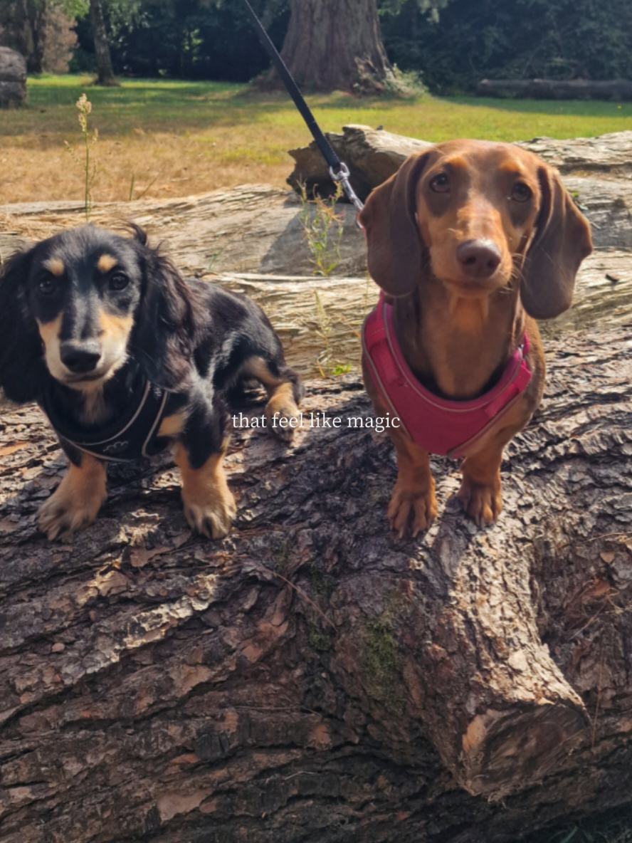 @💕NIA💕