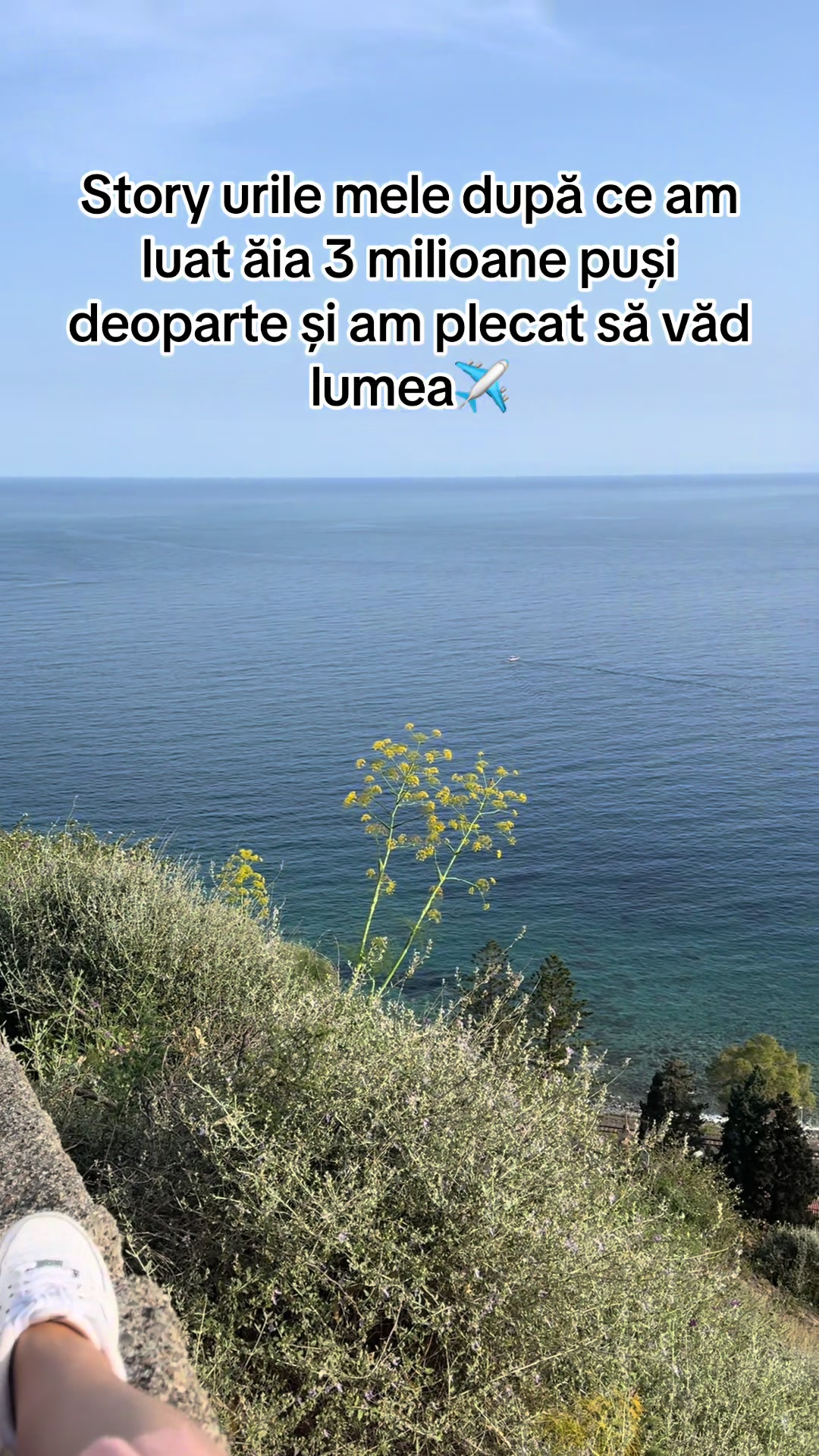 @IULIA🐞