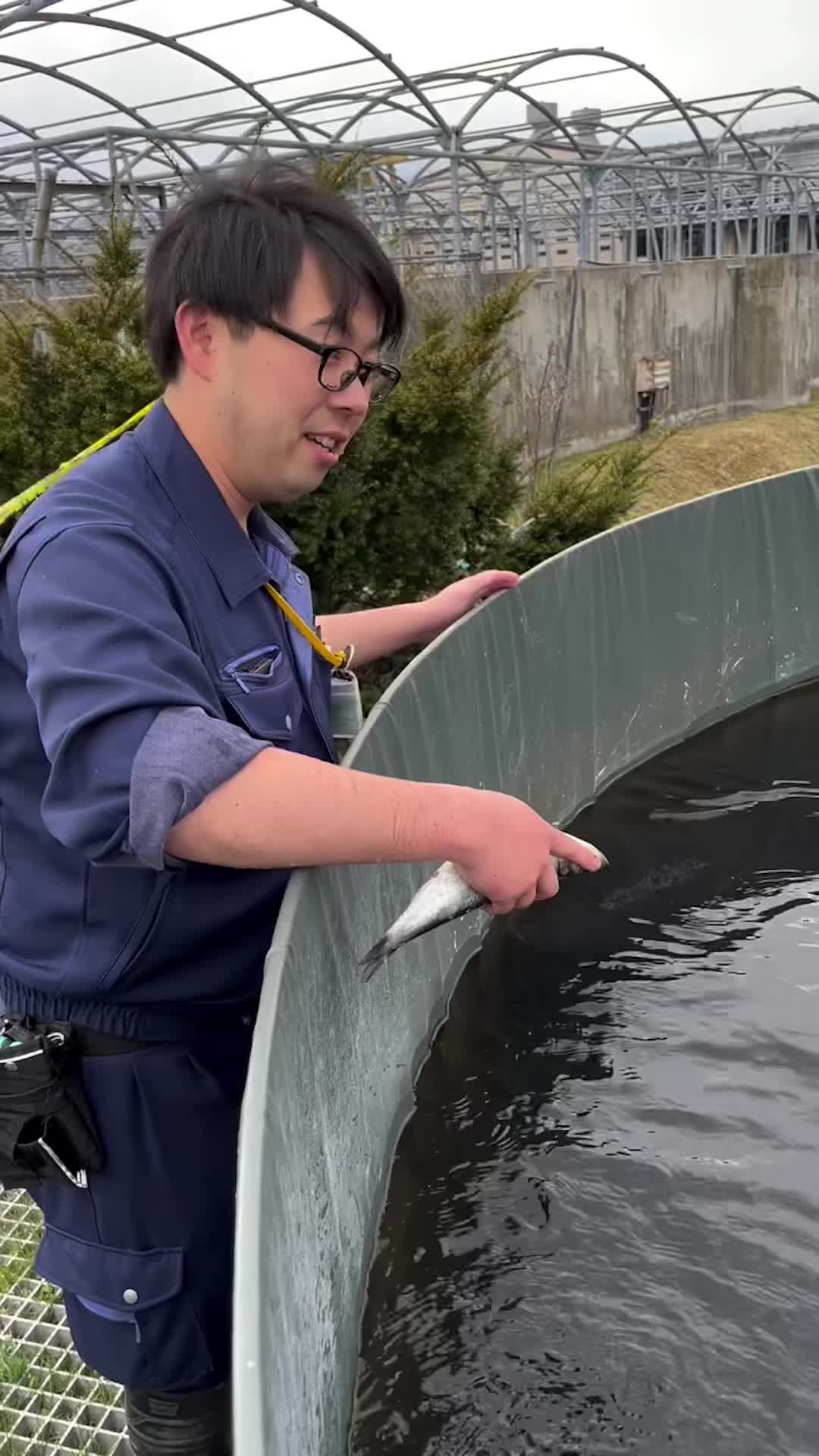 @Koi Competitions
