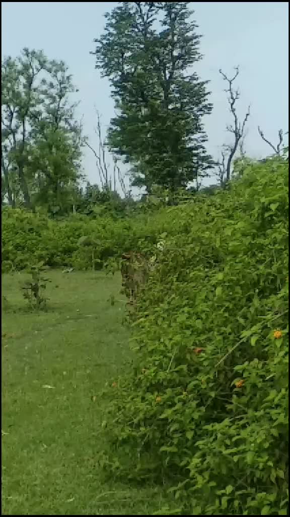 @भीमसिंह ठूलगढ़ाको