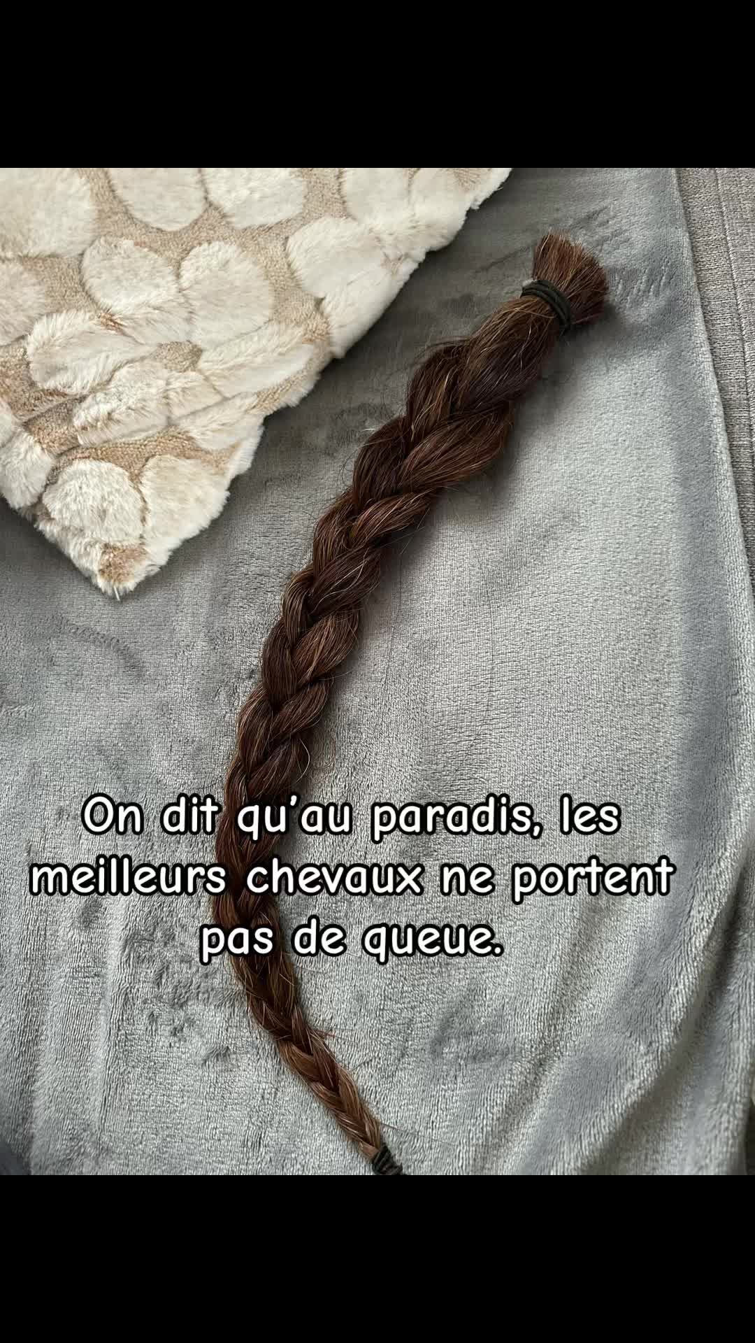 @Camélia🧚🏼♀️
