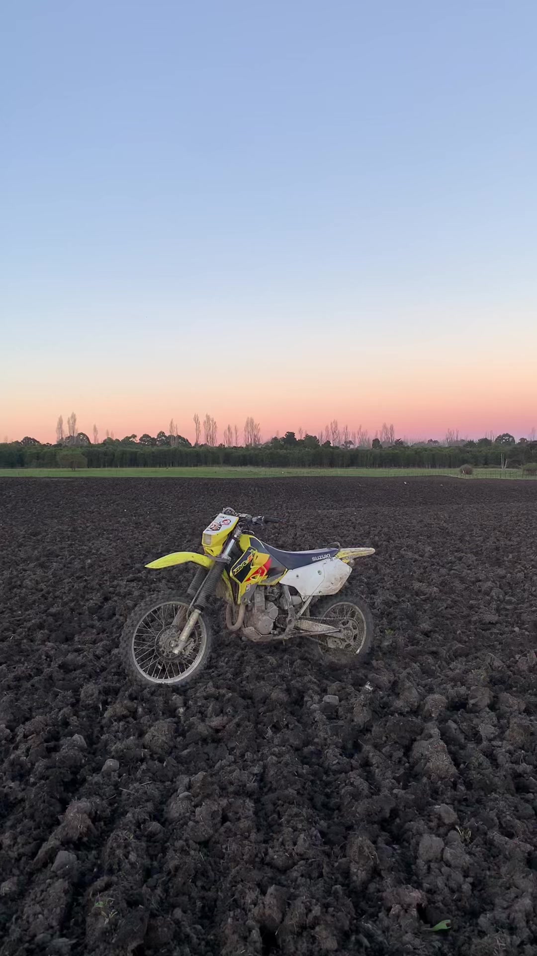 @DRZ Toby🫠