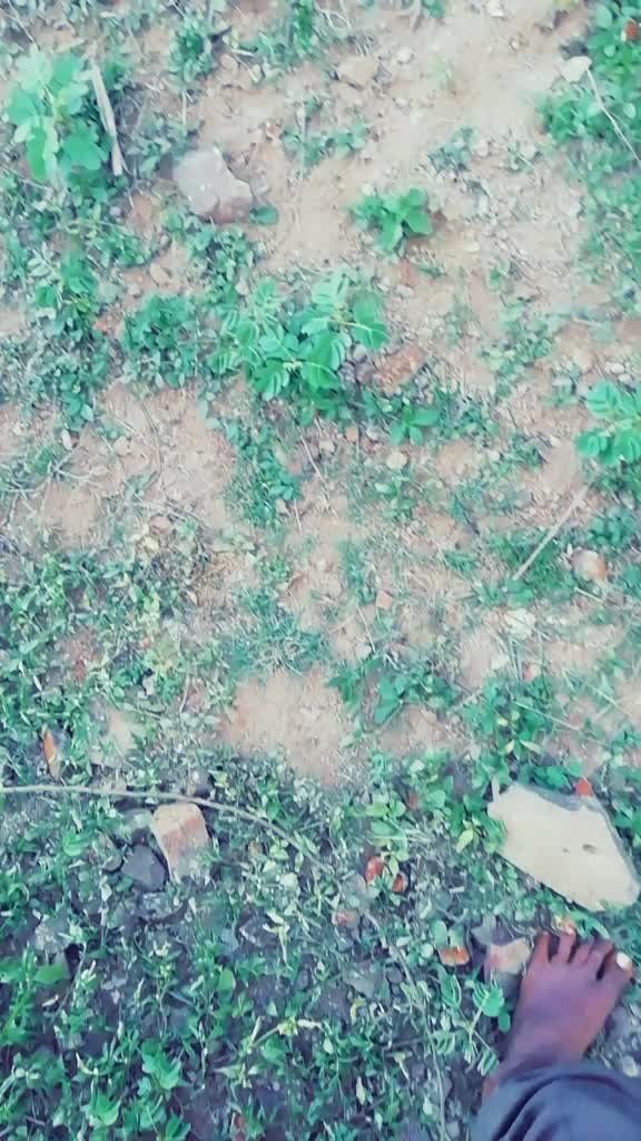 @ಕಿಂಗ್ ಈಸ್ ಬ್ಲಾಂಕ್