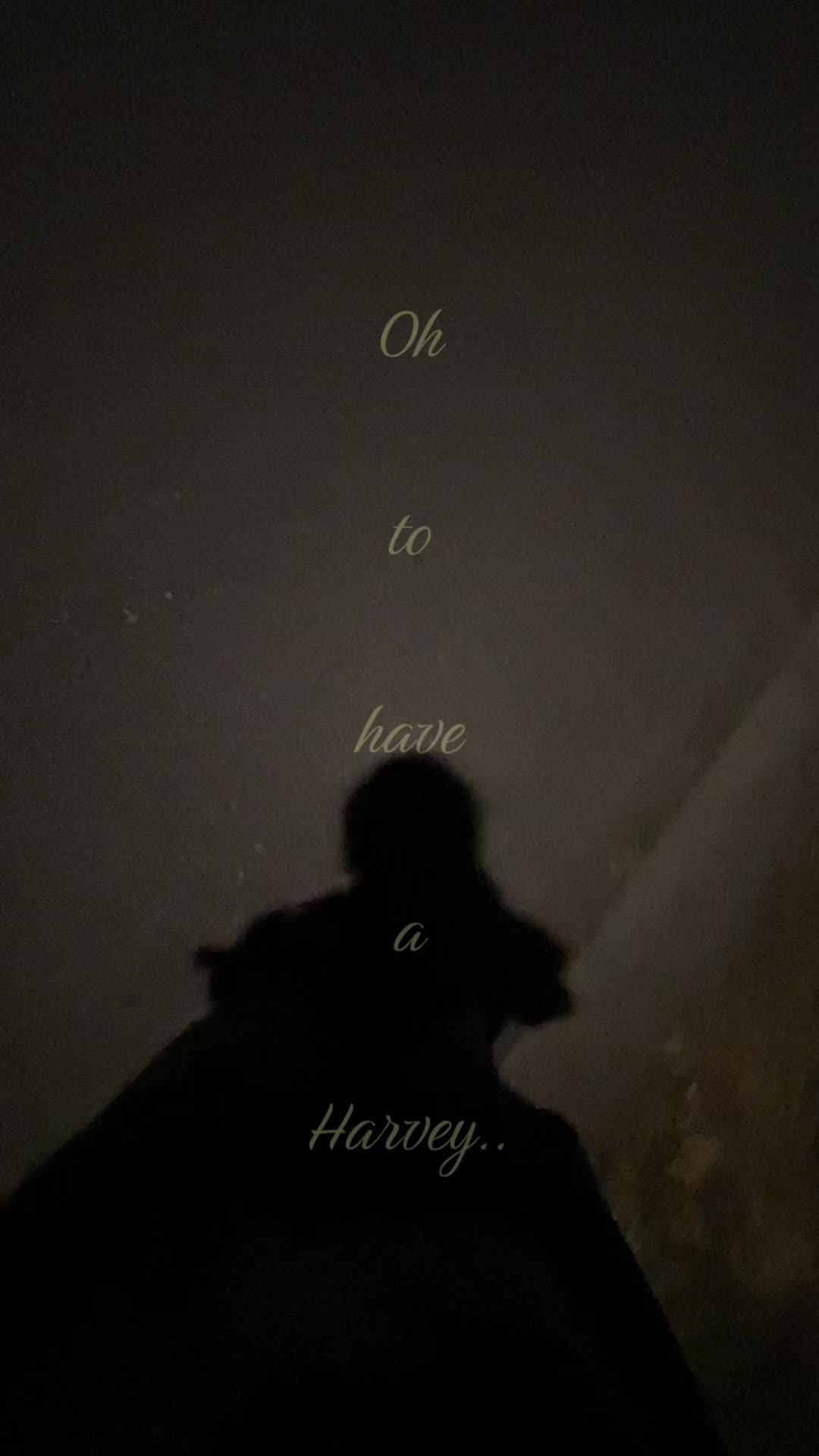 @і᥎ᥲᥒ⋆. 𐙚🐾🍨˚