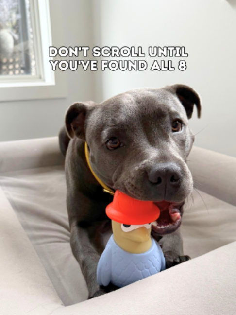 @Happy Staffy Co