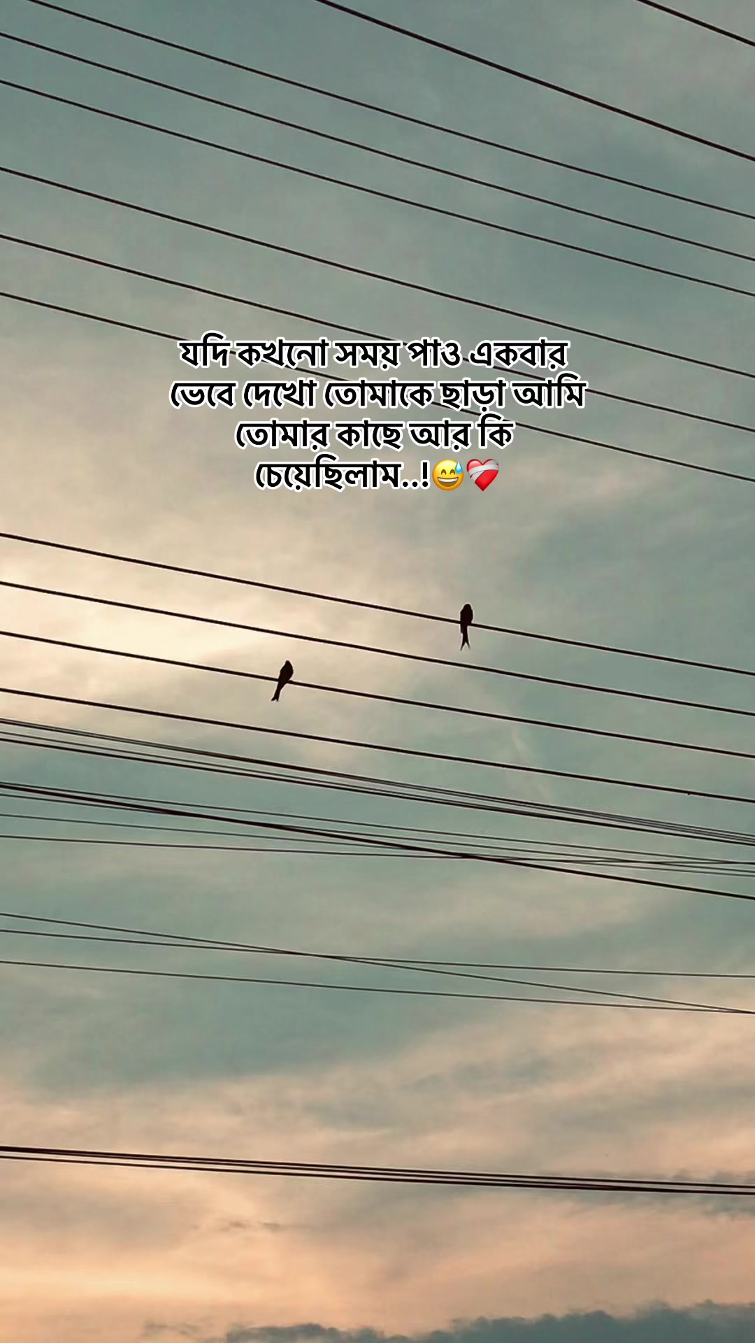 @the_spydoo🕸️ 🥏