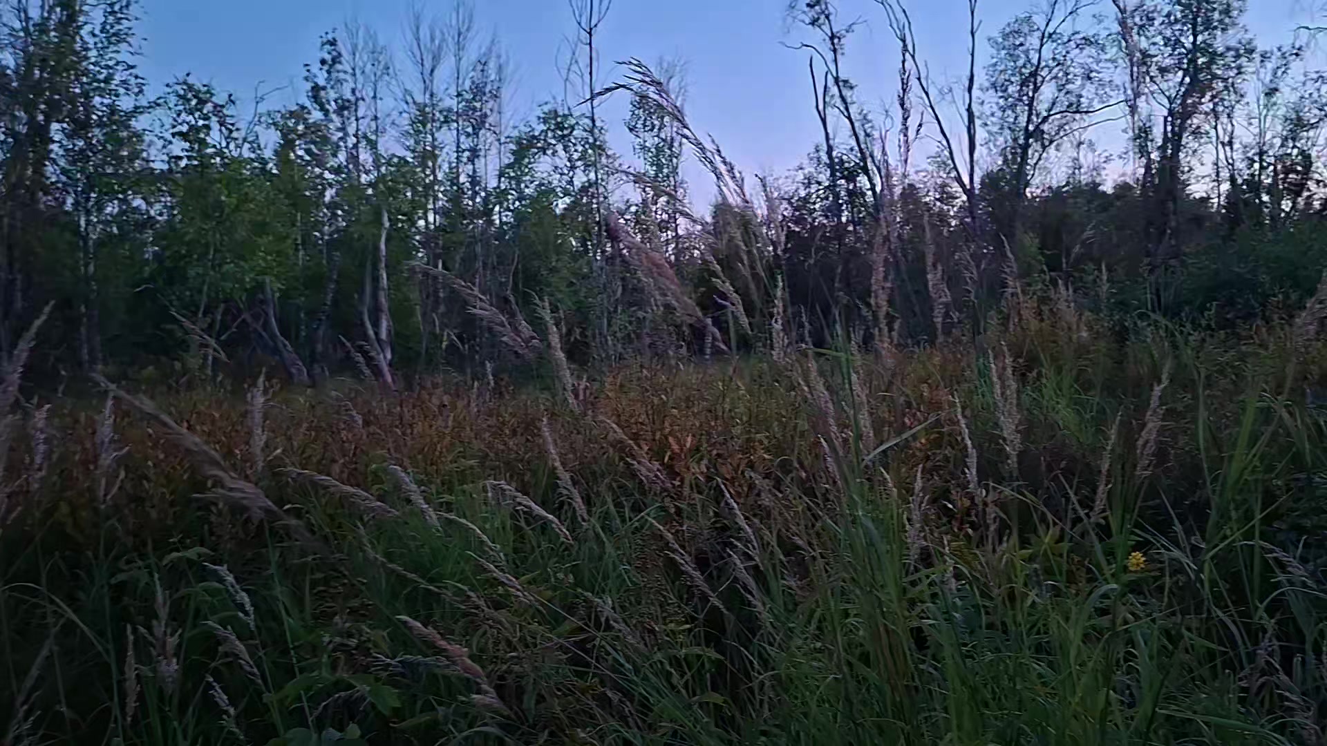 @𝘄𝗲𝗿𝘂𝗹𝗮𝘀𝗲𝗻