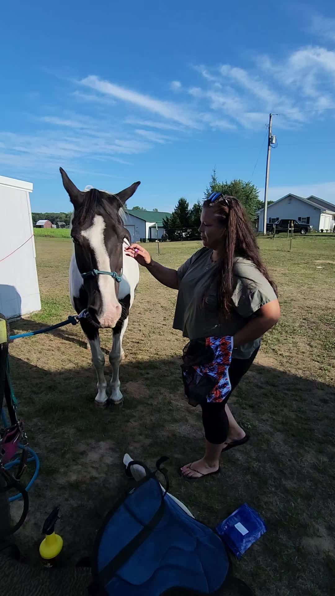 @minihorsemomandtrainer🐴🐴🐴🐴