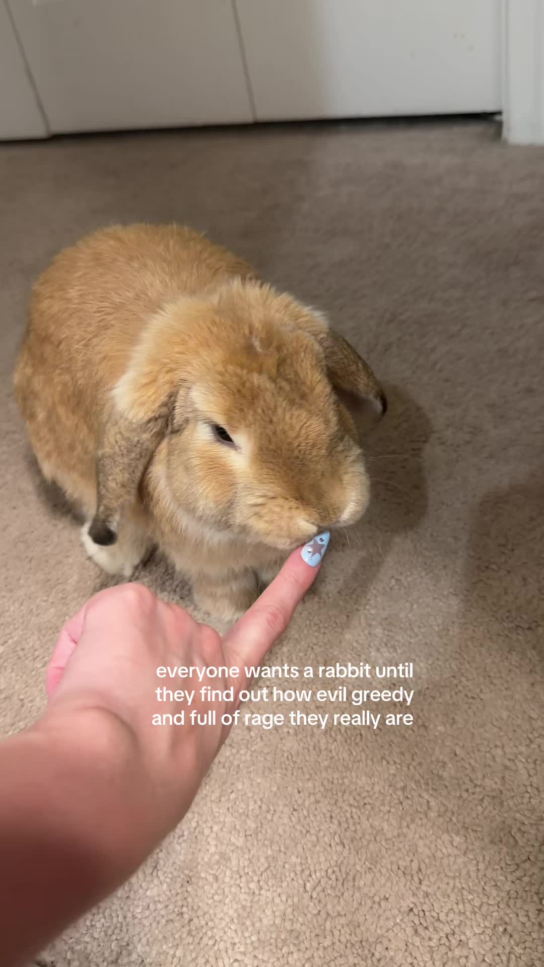 @paigey ₊˚⊹ ᰔ