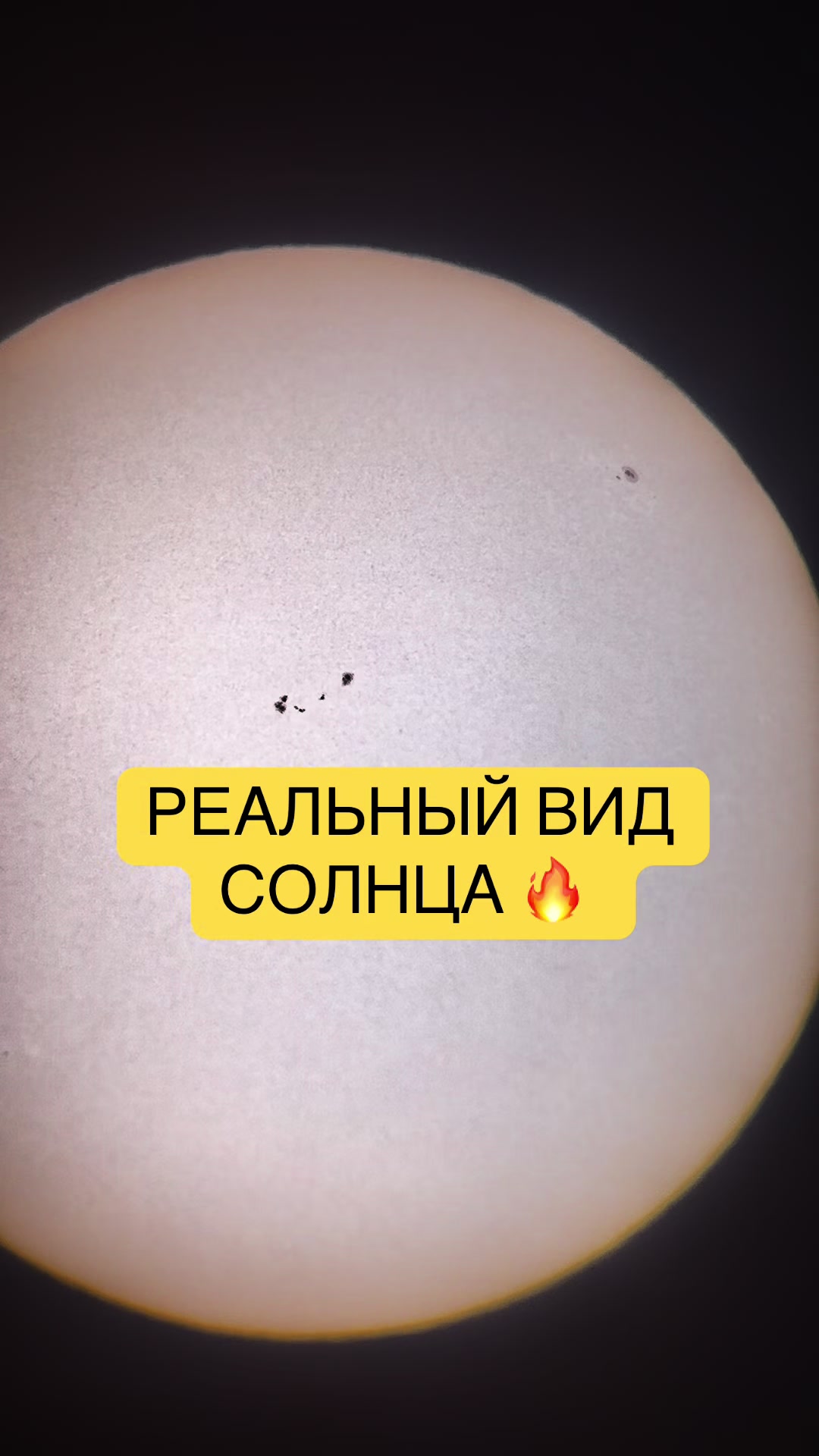 @moontaless