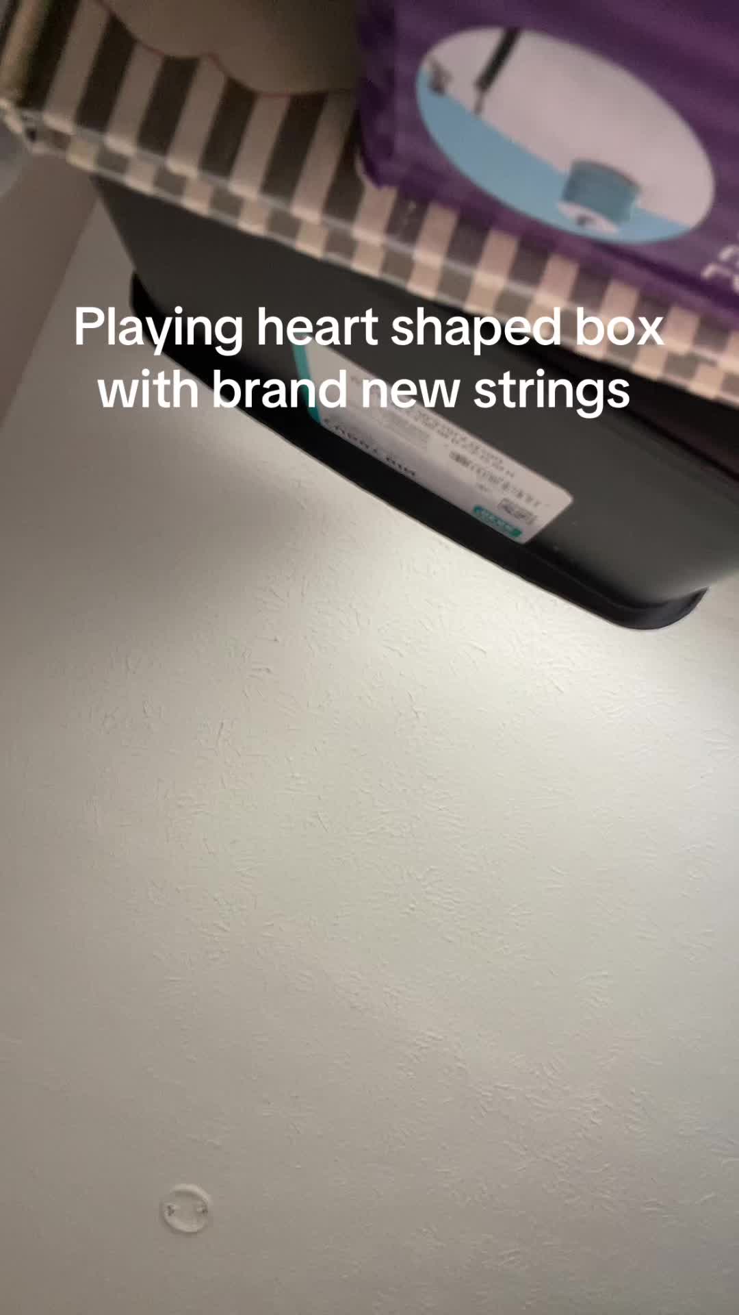 @seewhy
