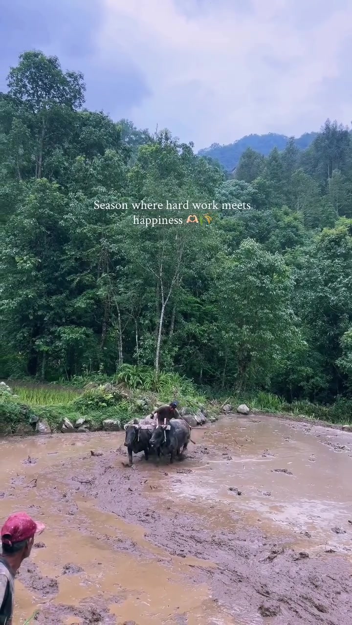 @सुमन दर्लामी मगर&trade;️