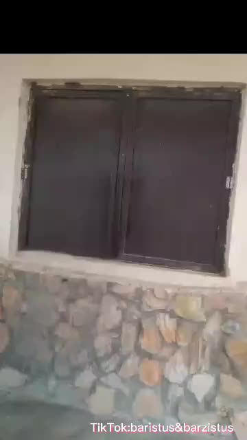 @barzistus