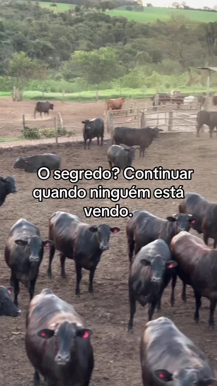 @Vitor Marques
