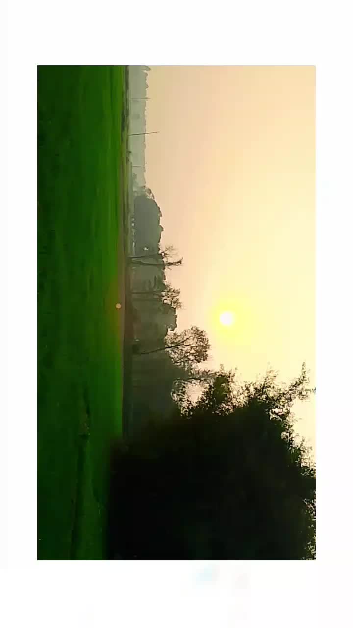 @❤️🦚
