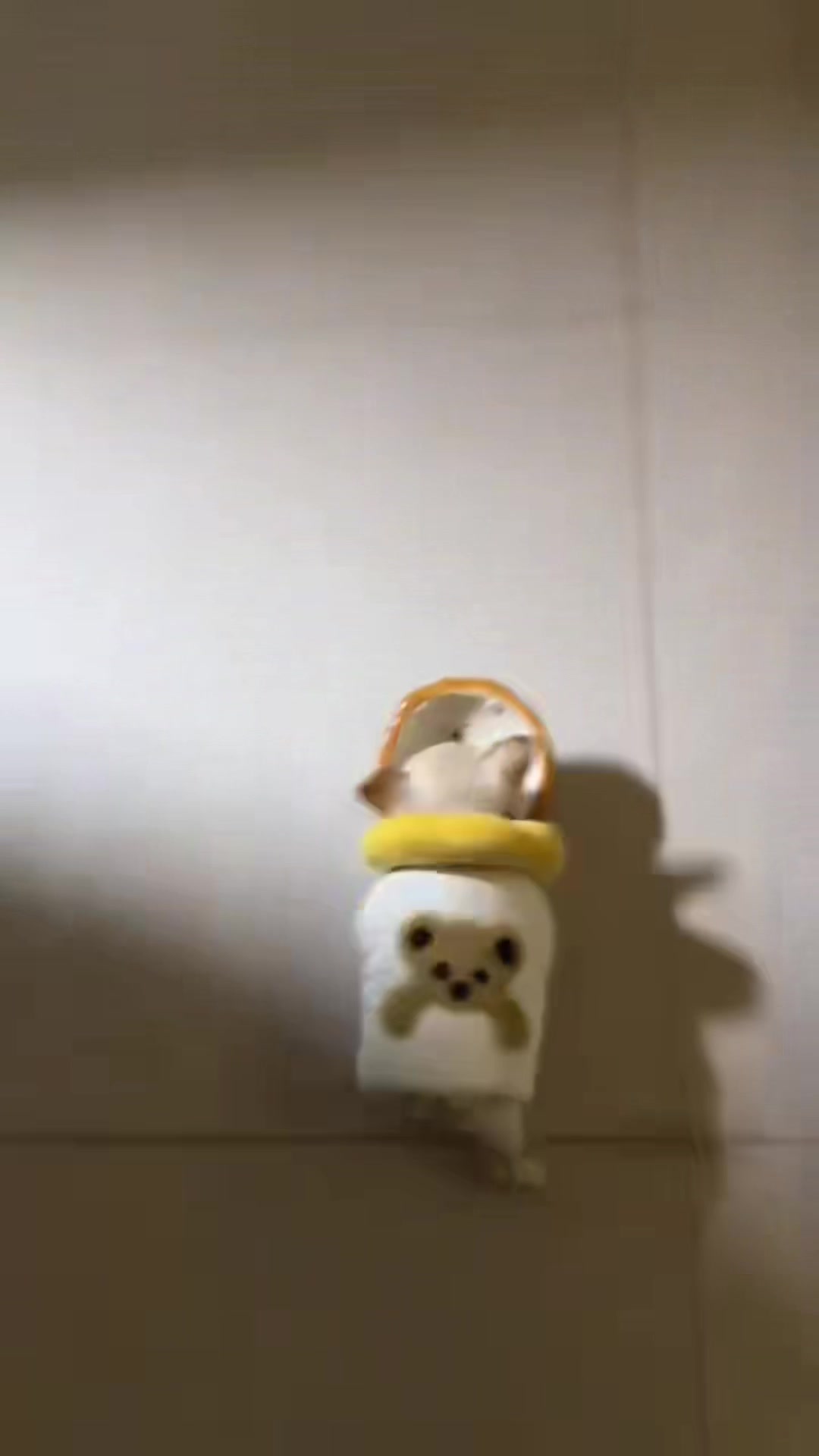 @𝐅𝐫𝐞𝐧𝐜𝐡𝐢𝐞𝐬.𝐛𝐚𝐛𝐲