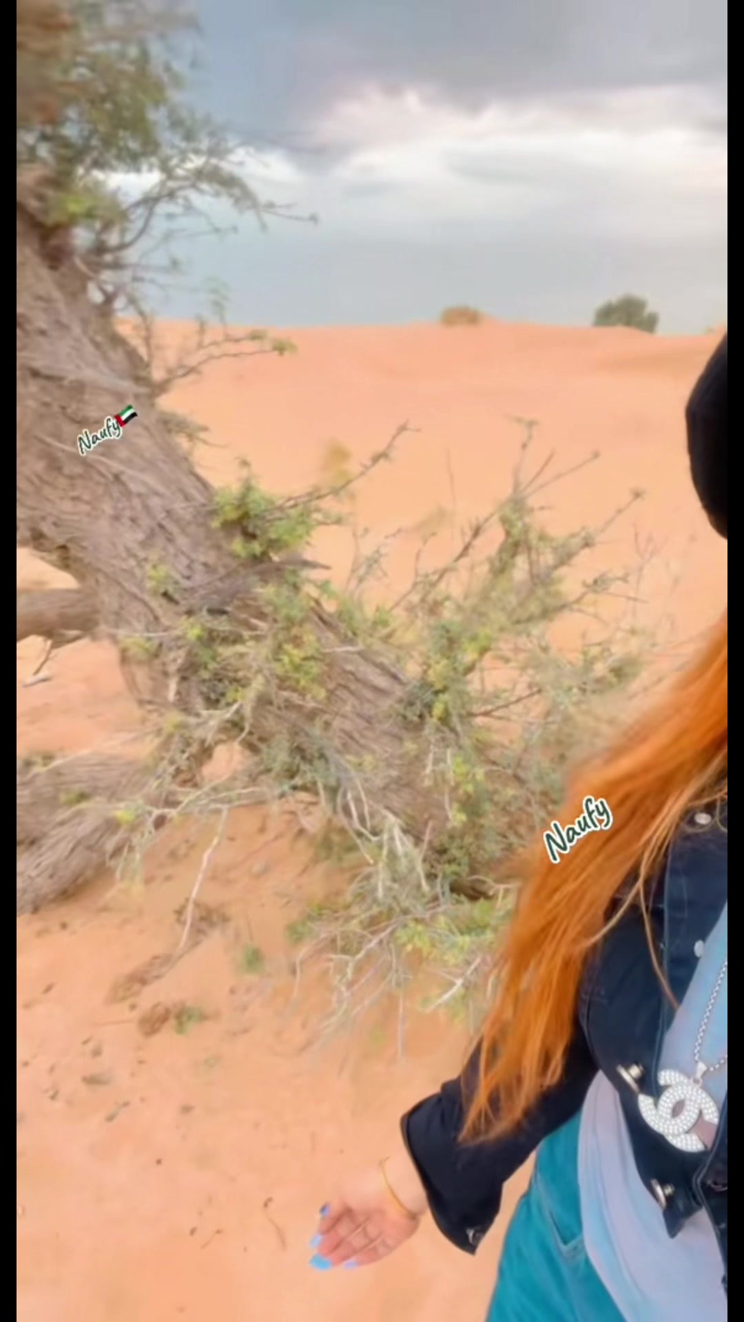 @DeSerT_Queen