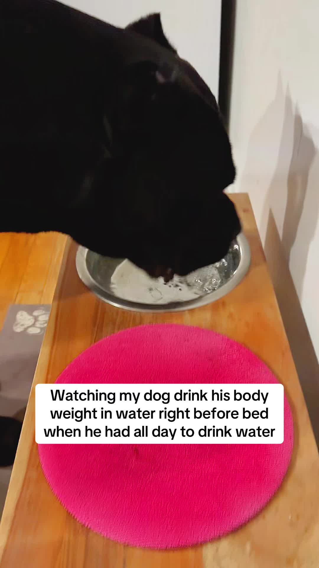@Bentley Has Issues