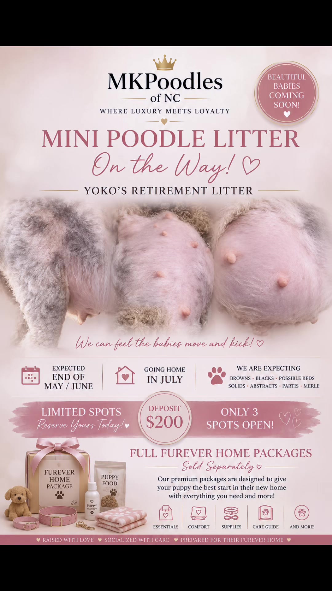 @MKPoodles
