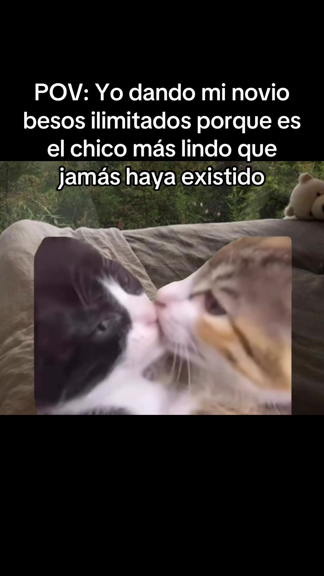 @AmorInfiny