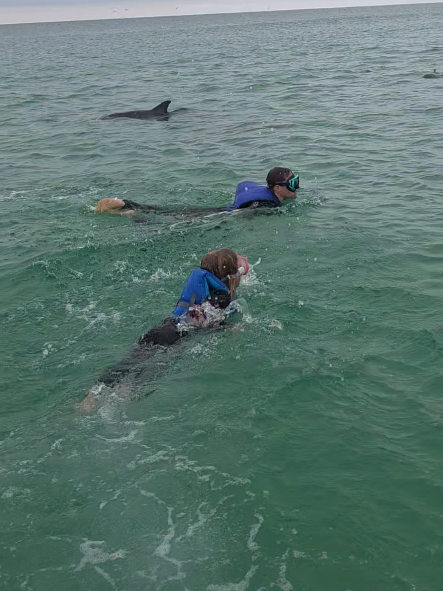 @Shell Island Dolphin Tours 🐬