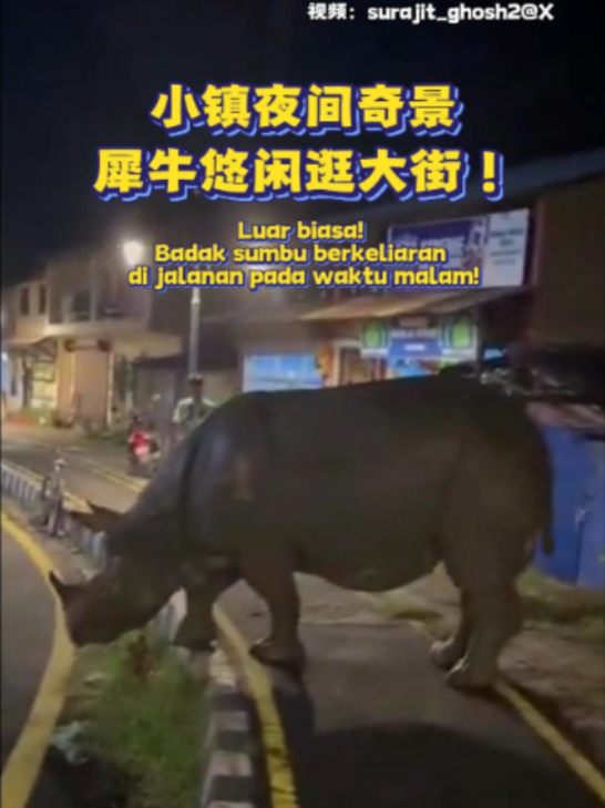 @中国报