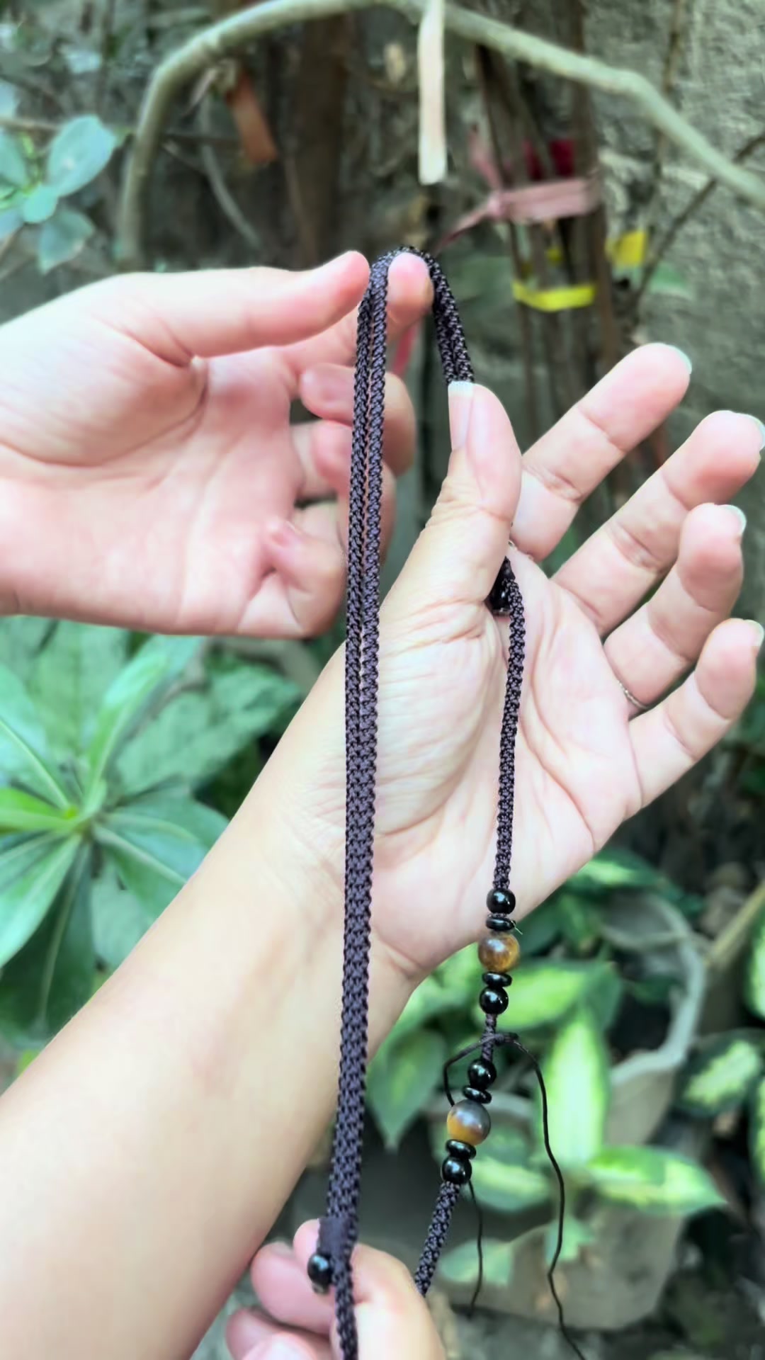 @mushroom.finds