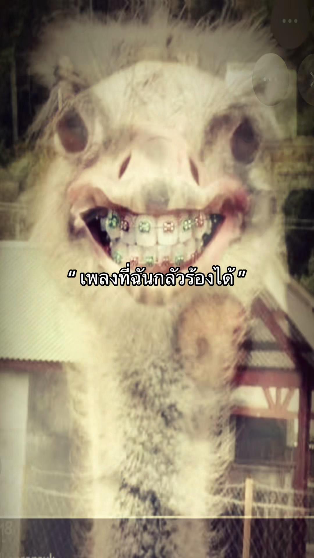 @อือ.