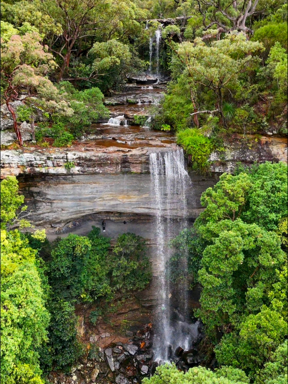 @Nature Love Australia ๐ด