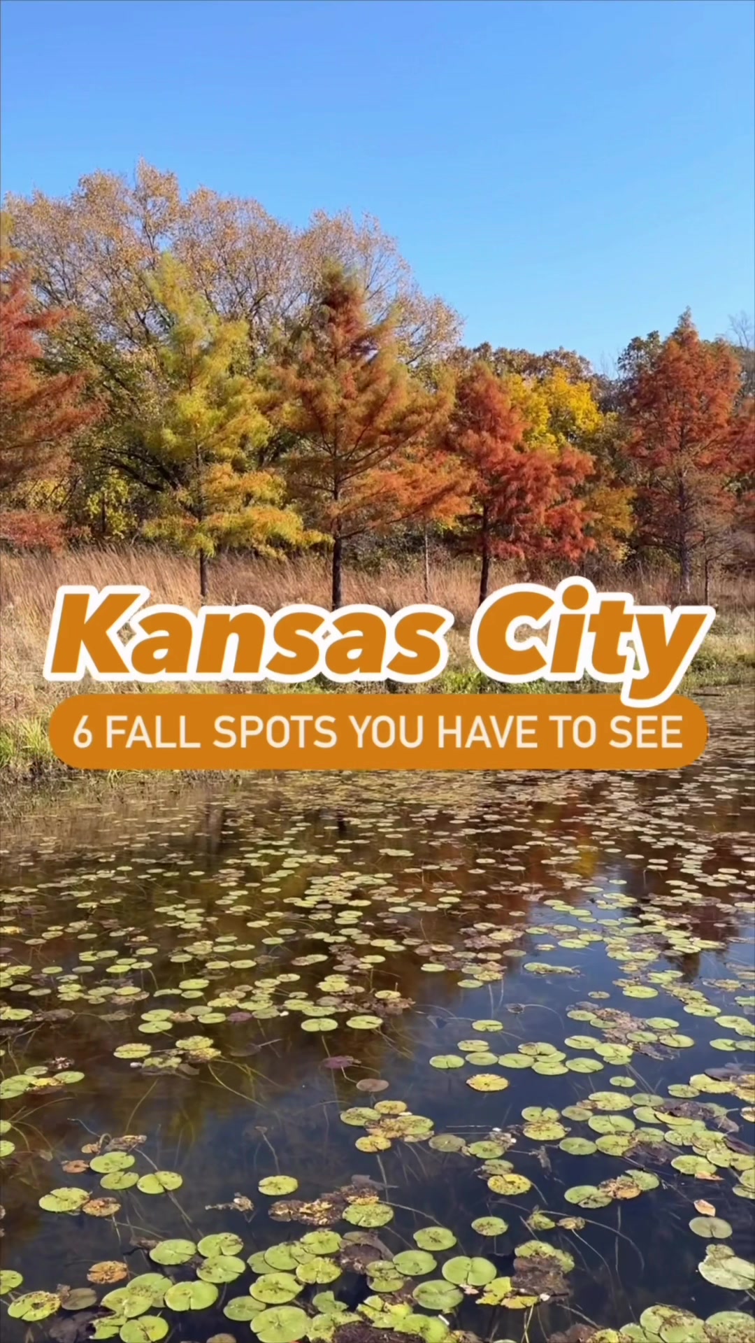 @Jana | Kansas City, Family Fun