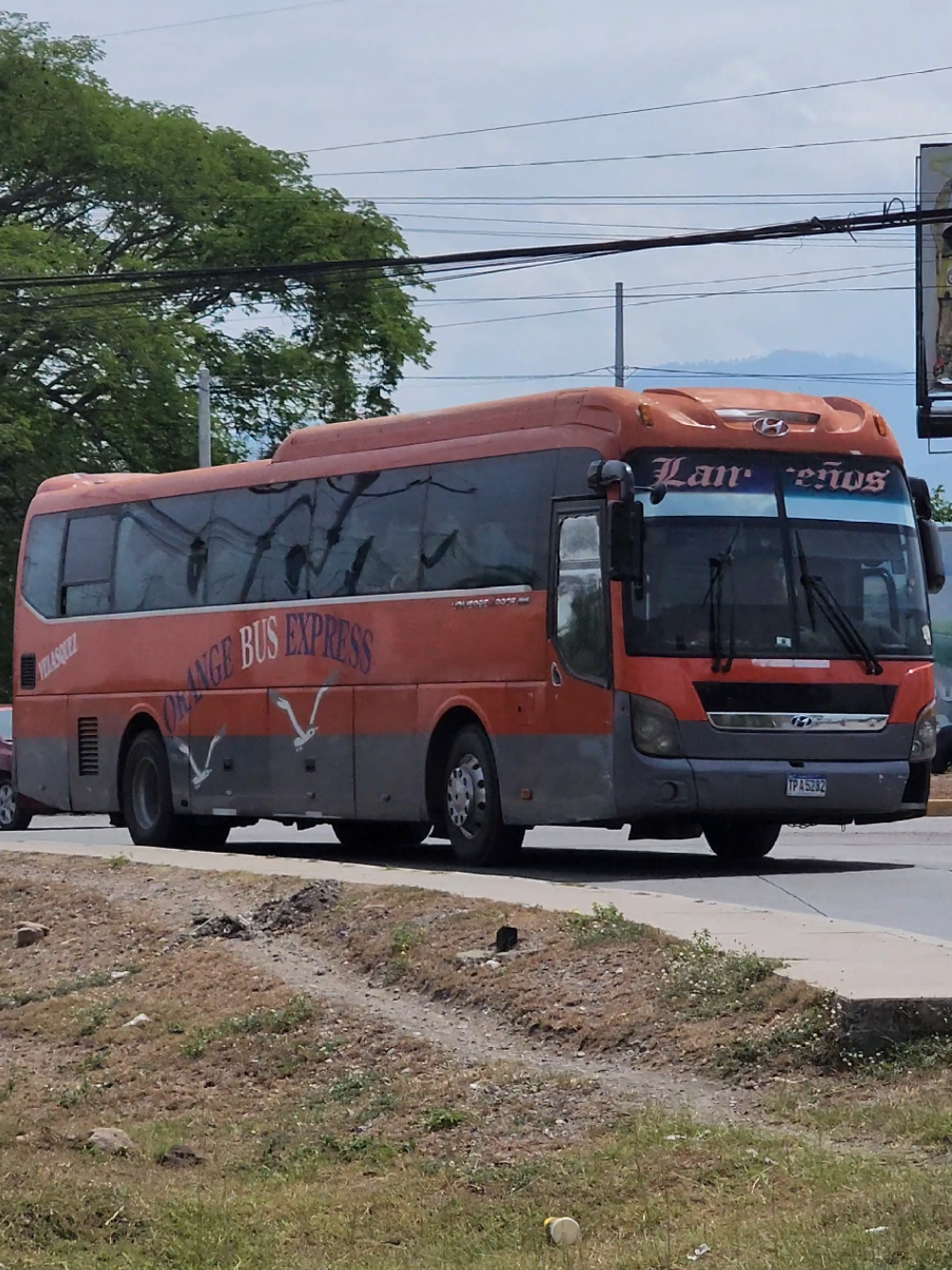 @BUSES FERMA_504 📸🇭🇳