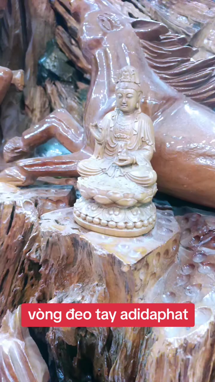 @THẦY THÍCH MINH ĐẠT