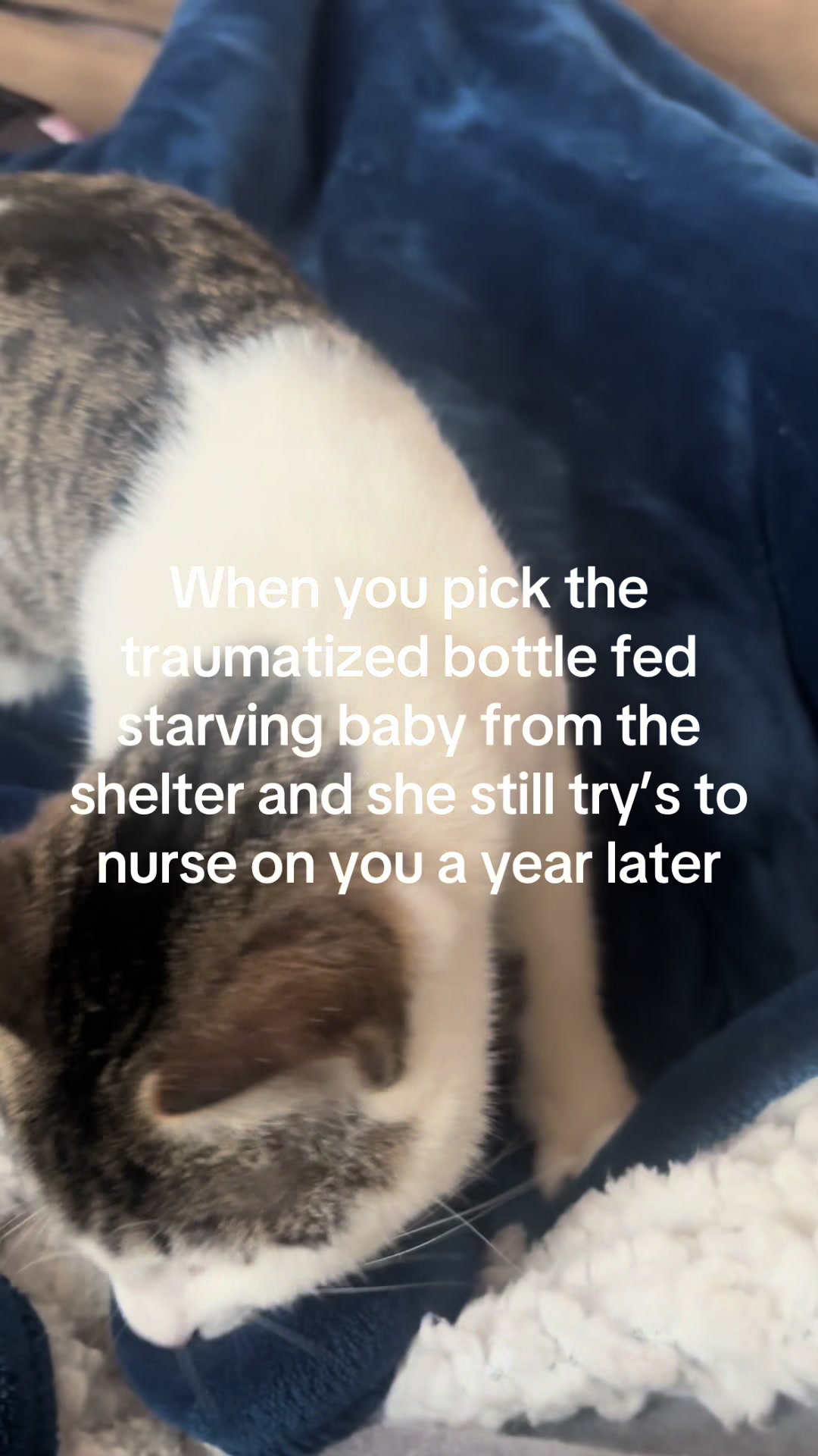 @Charlie