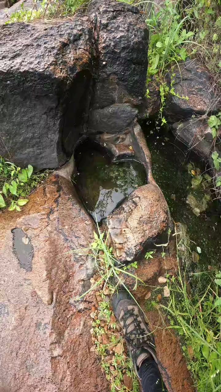 @carlos.tdias