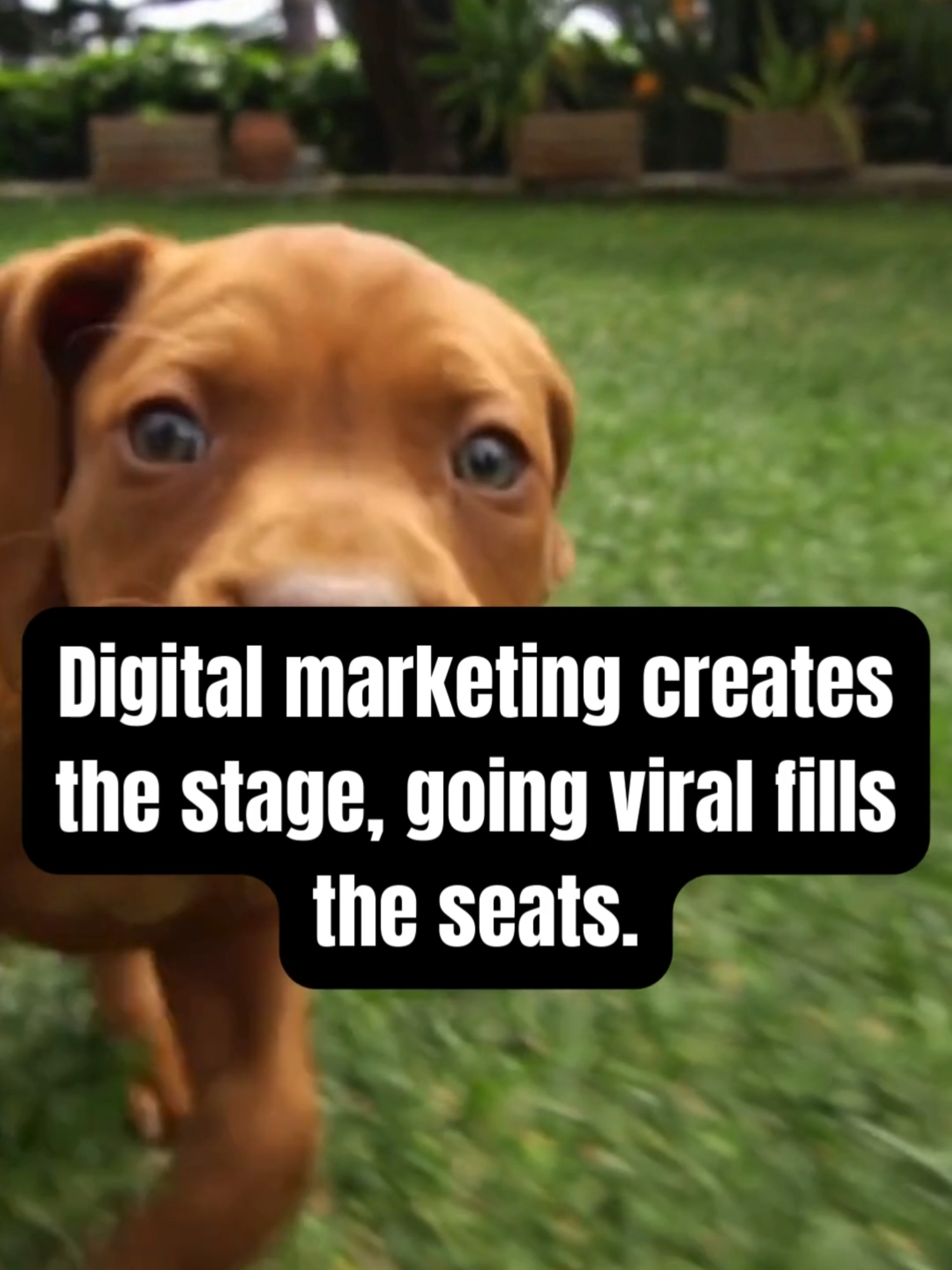 @Digital Marketing Pros ✨