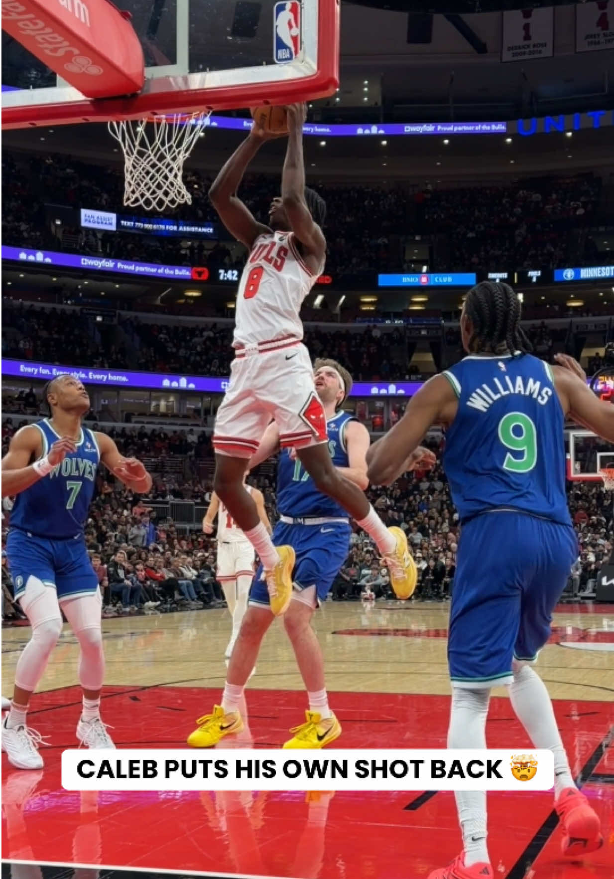 @Chicago Bulls