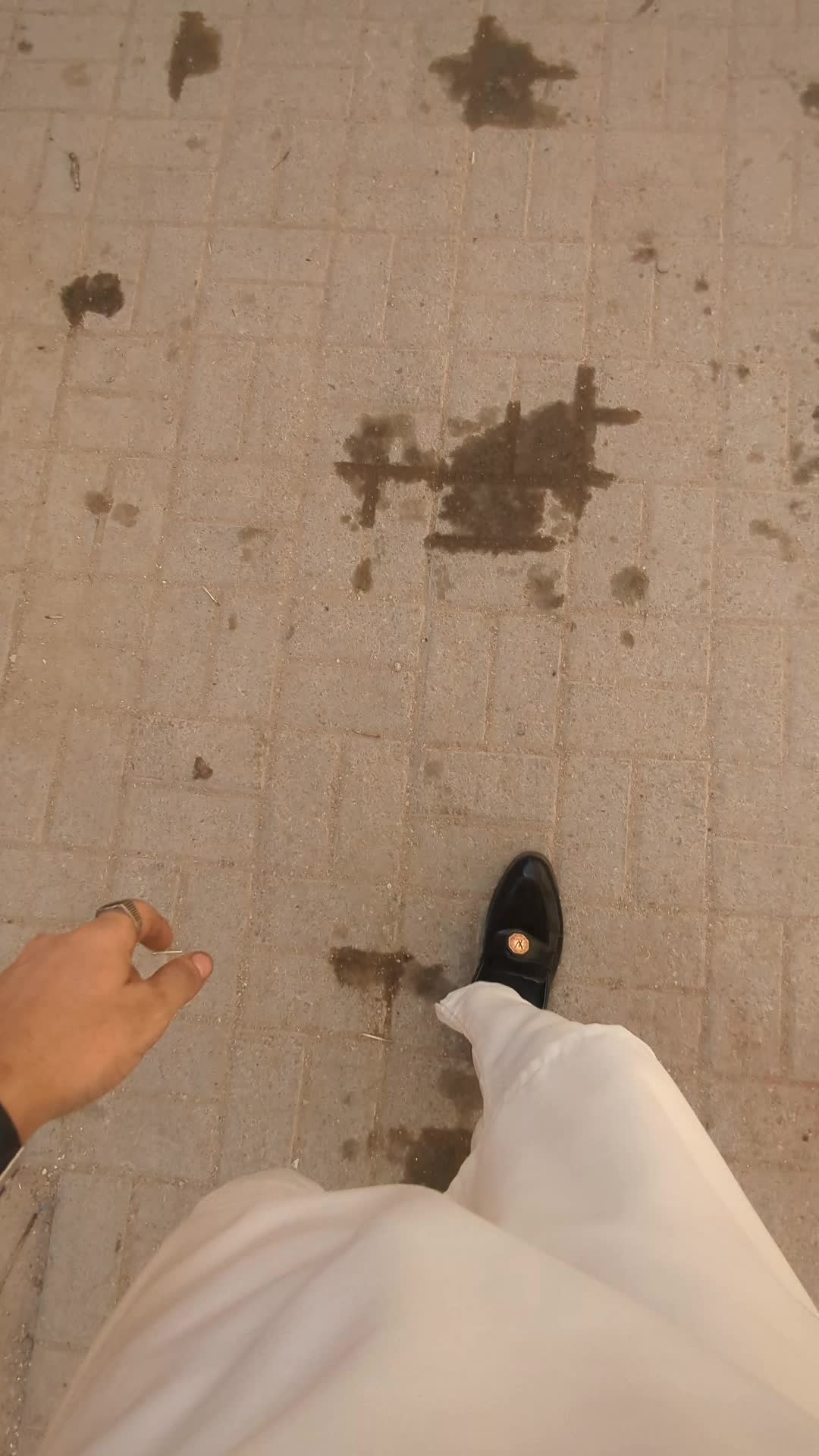 @ℕ𝕠 𝕆𝕟𝕖 🦅
