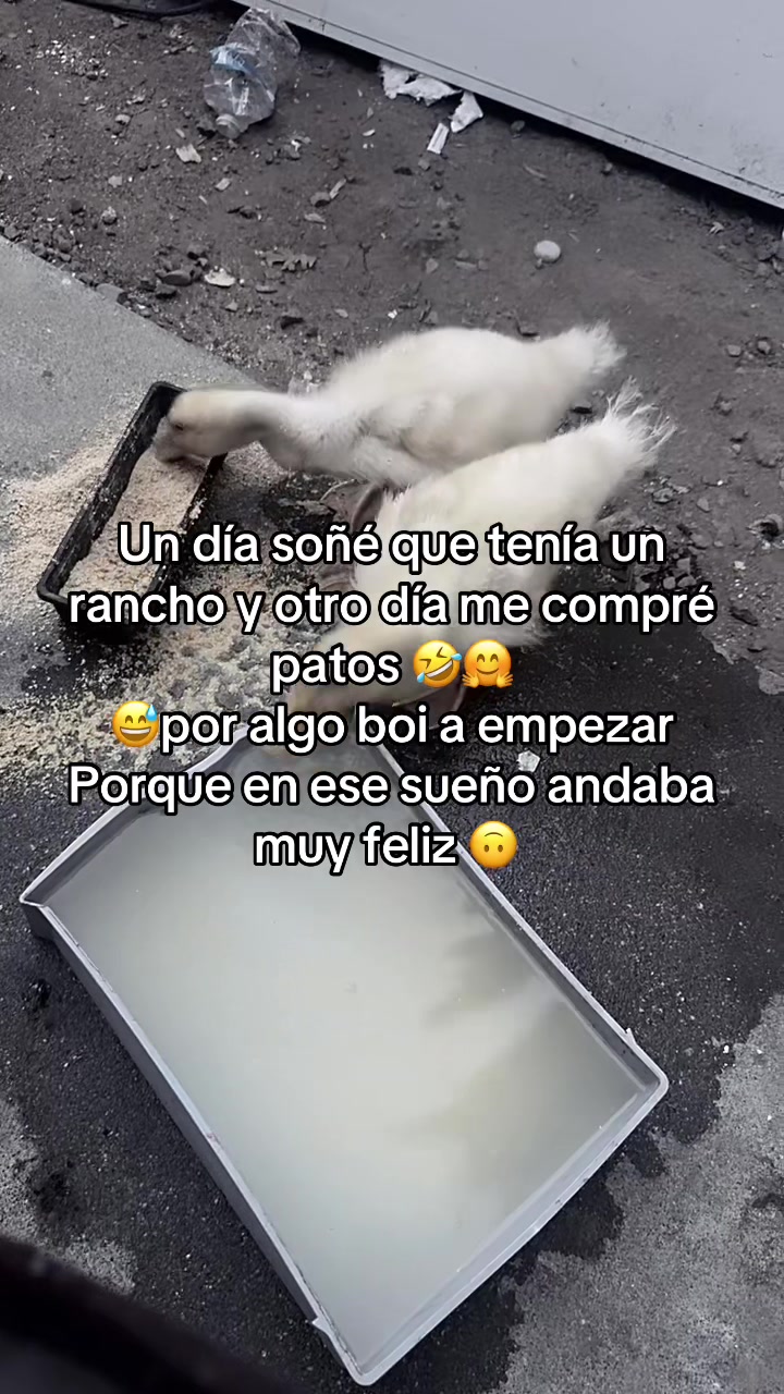 @Clarissa de Sinaloa 🍅🥭