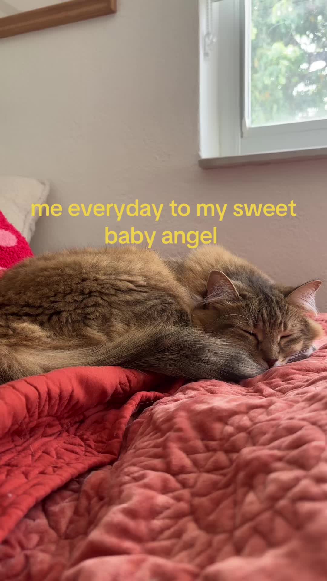 @feliz