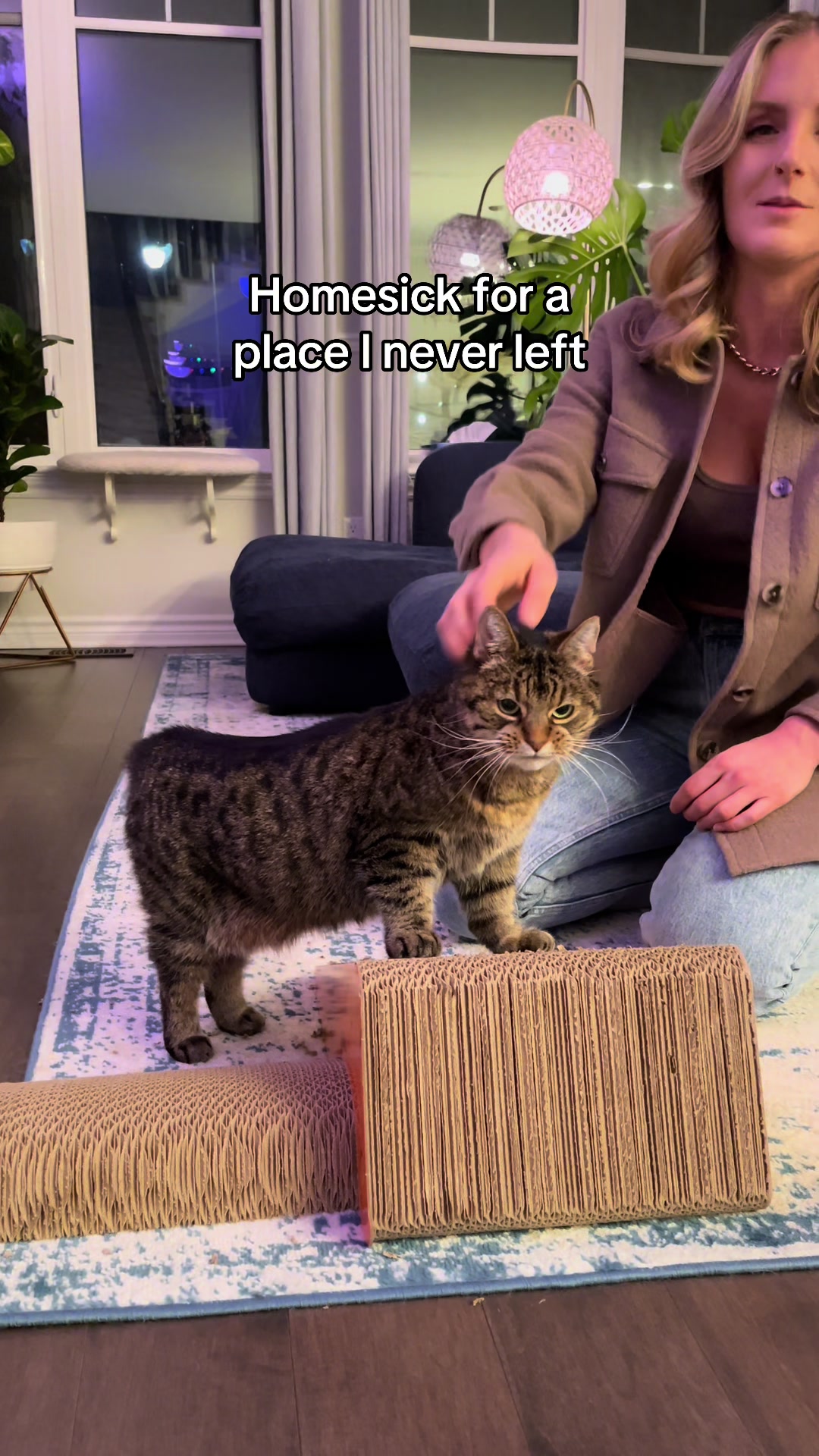 @Krista & Cats: BamBam & Bonnie