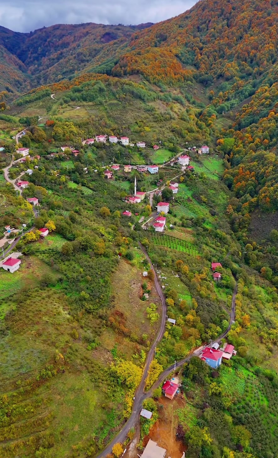 @Turgay Kırdar