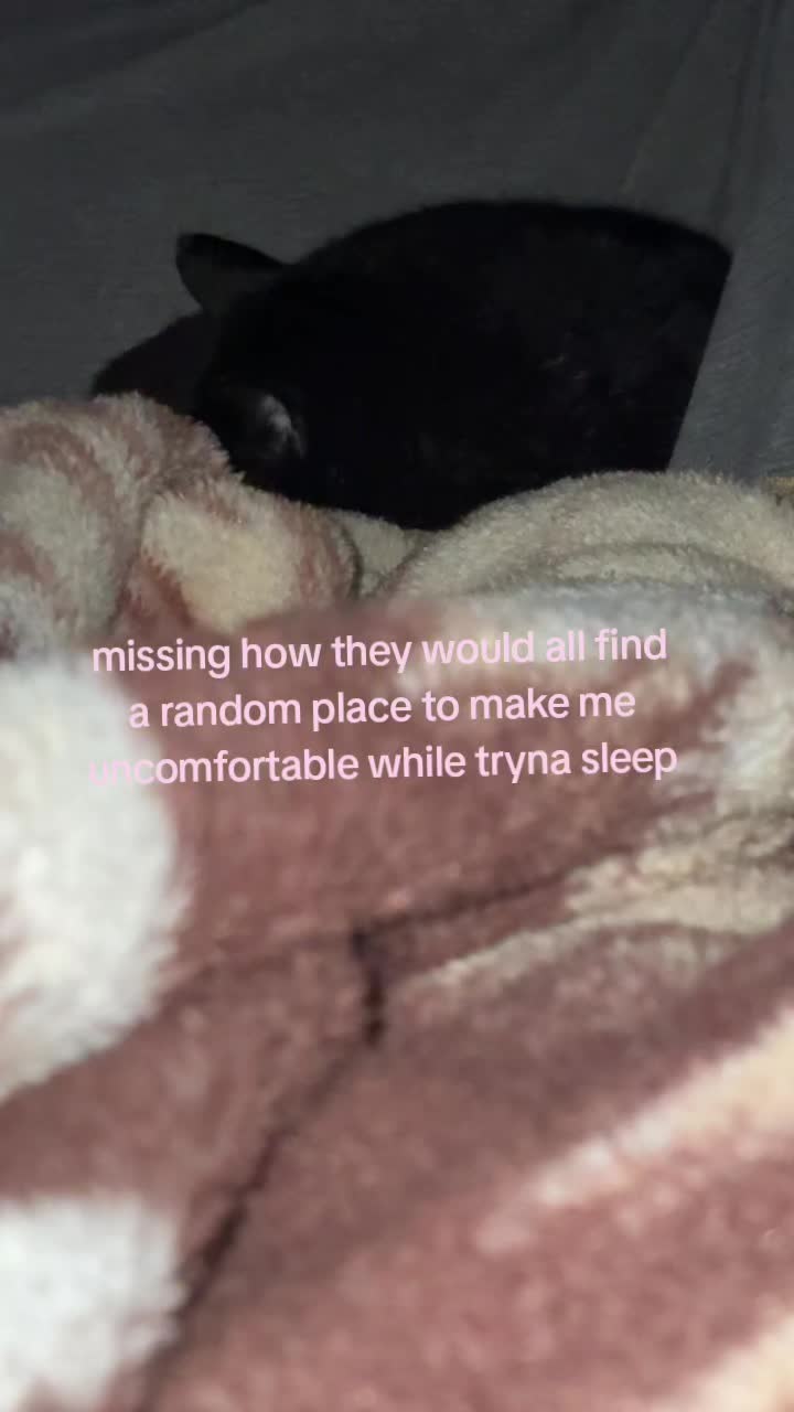 @tia🫧