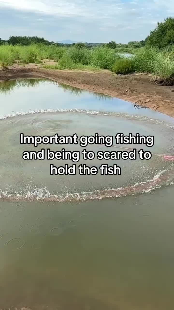 @kaitlinhui4