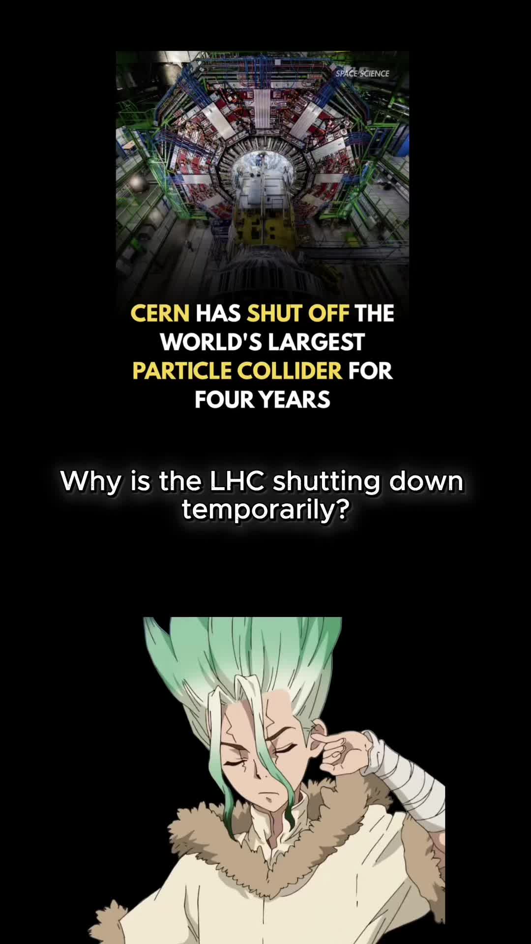 @Senku