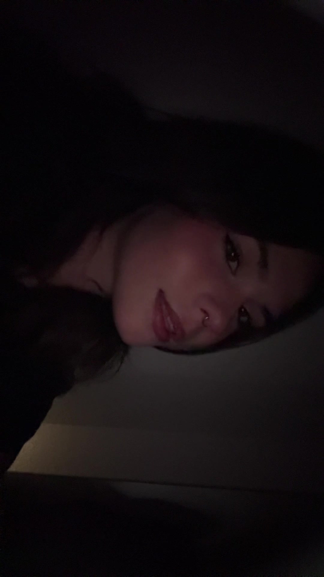 @lexi 🦎