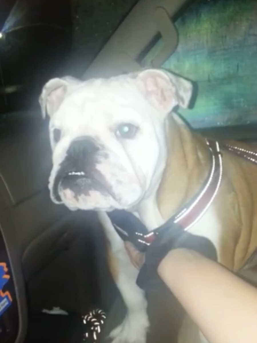 @Areyoufurwheels