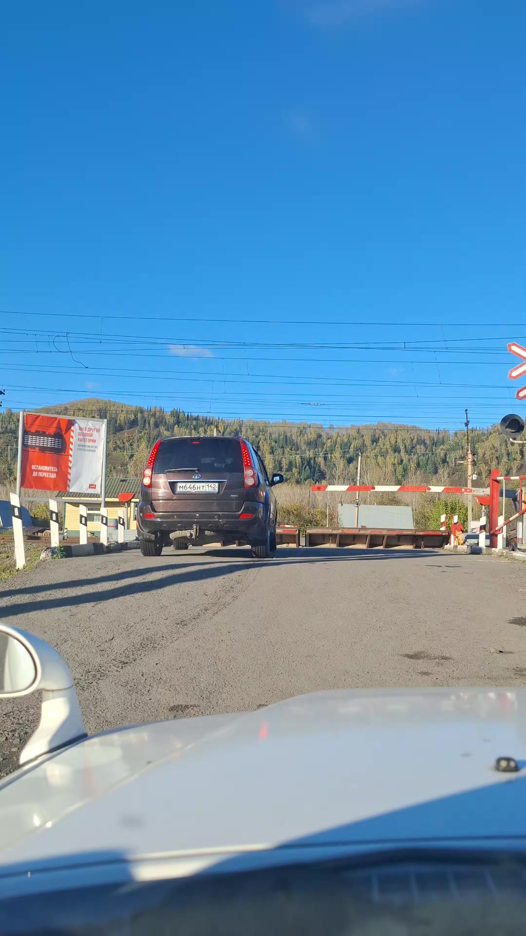 @Ириска☑️