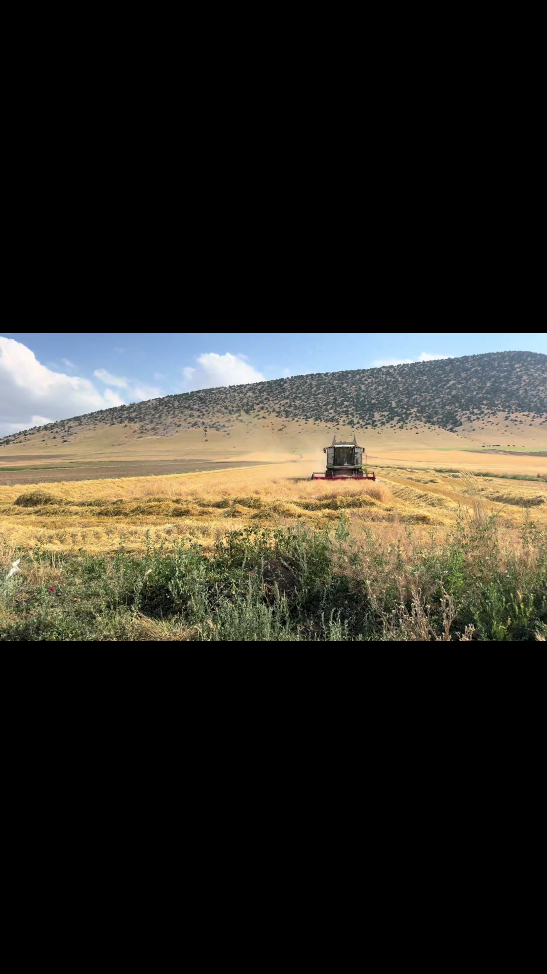 @Otokurtarıcınız..